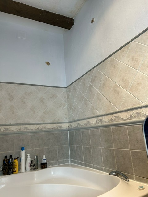 image11 (2)