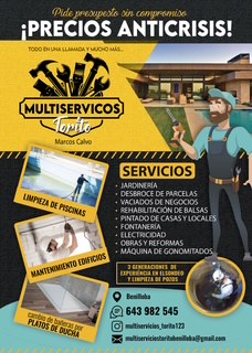 MULTISERV.TORITO BENILLOBA